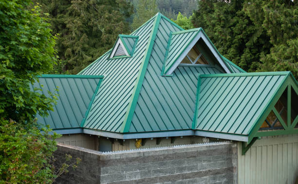 Best Sheet Metal Roofing  in Holualoa, HI