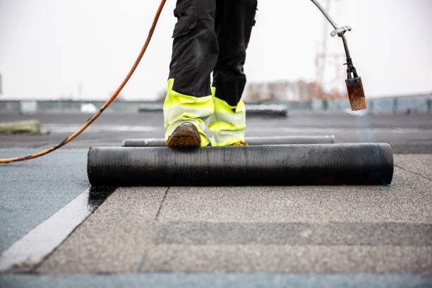 Best Green or Eco-Friendly Roofing Solutions  in Holualoa, HI